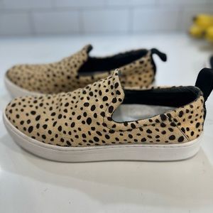 Dolce Vita Sneakers